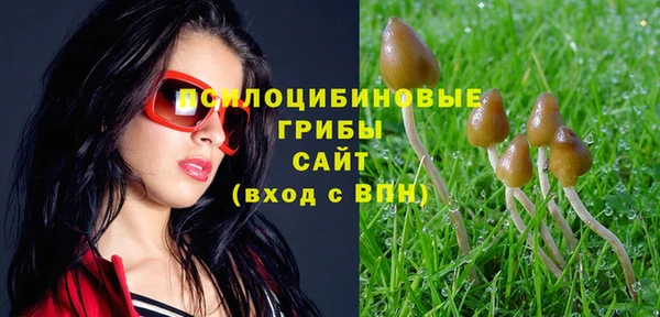 не бодяженный Белокуриха