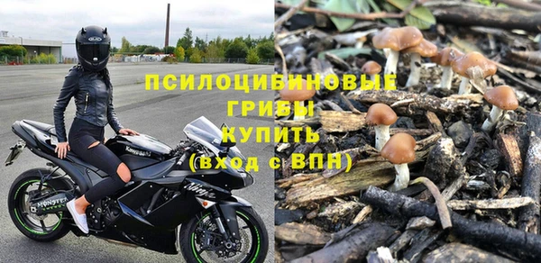 первитин Россошь